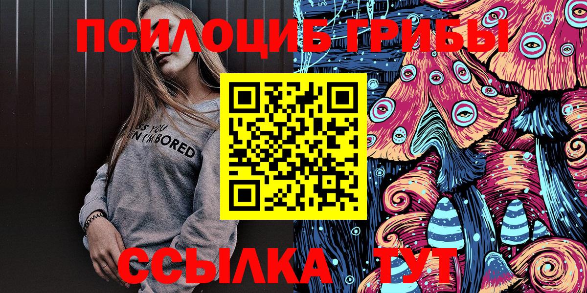 Елабуга  Псилоцибиновые грибы Psilocybine cubensis  Вход с VPN 